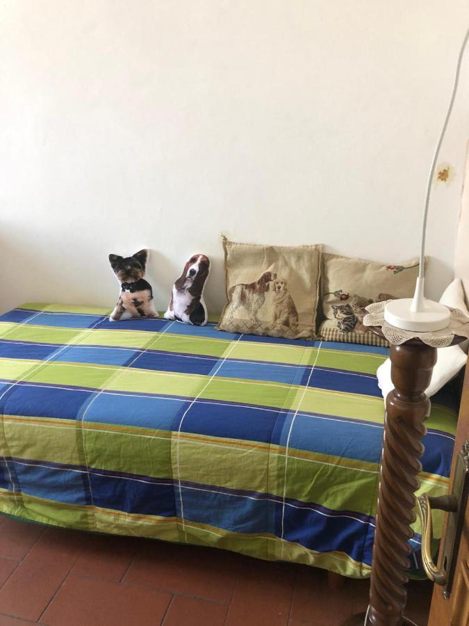 Solo Traveller Bedroom In Homestays City Center Флоренция Екстериор снимка